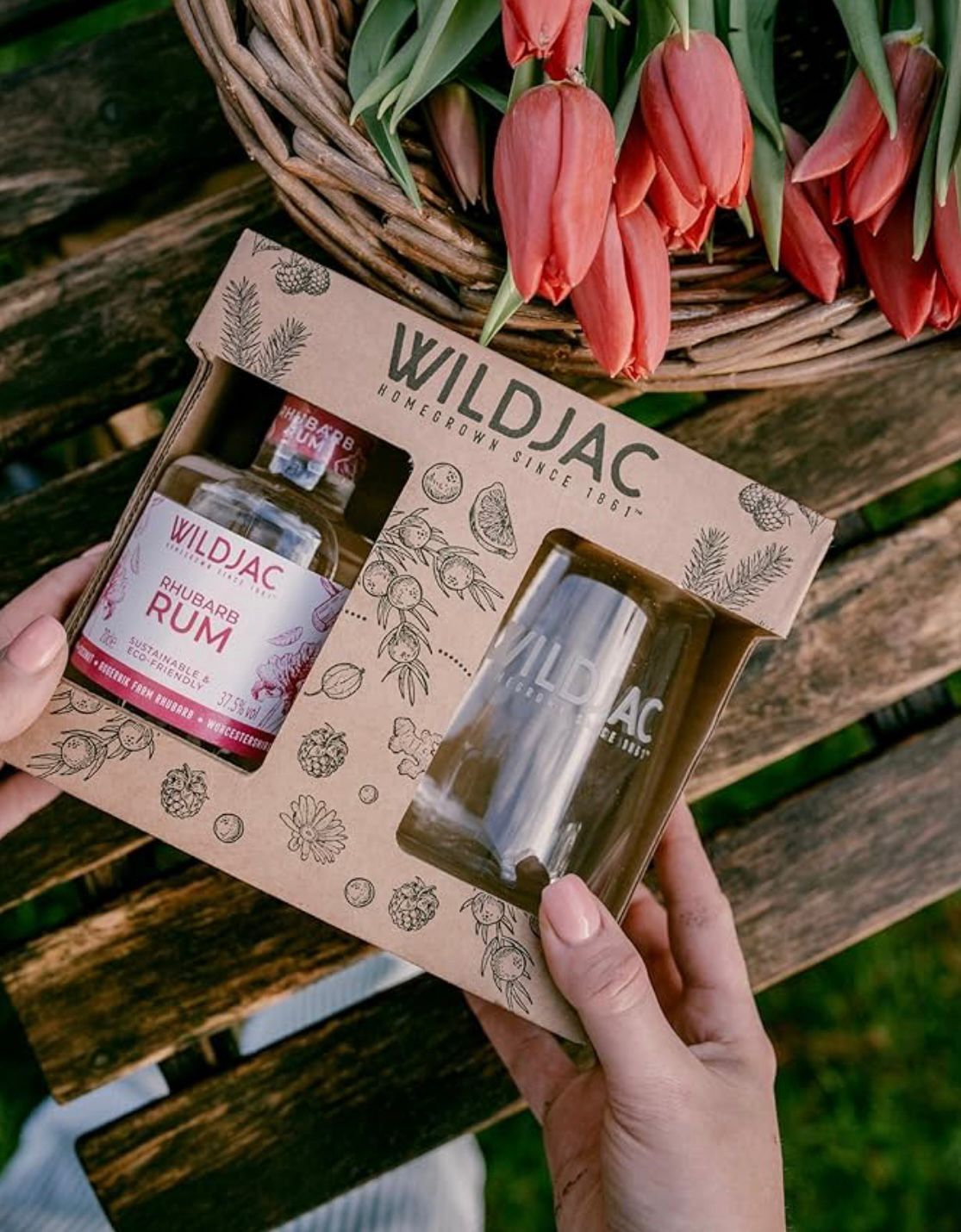 WhatsApp Image 2025-10-25 at 11.49.39