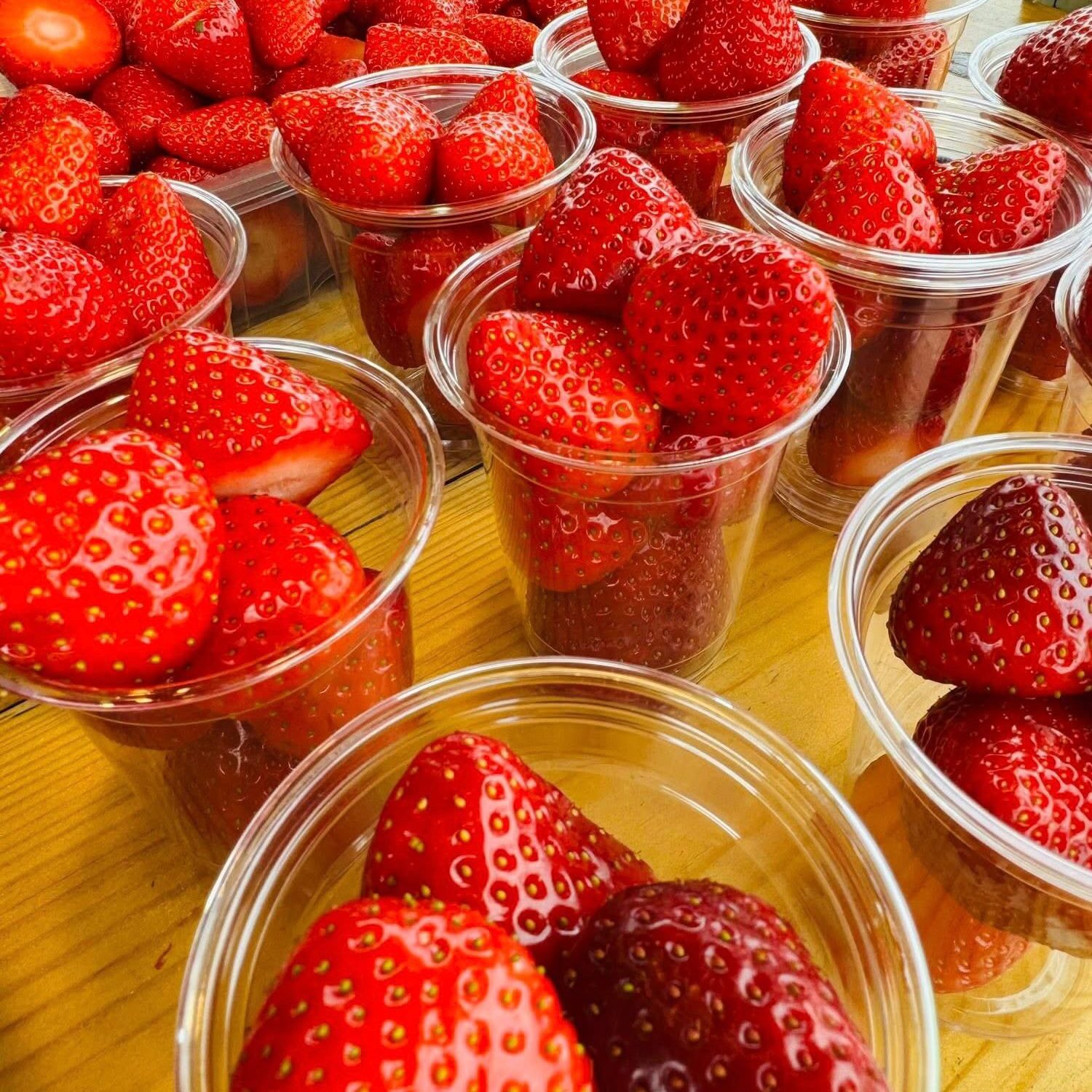 WhatsApp Image 2025-11-03 at 08.09.54 (1)